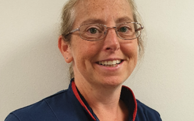 Pioneers Professional Nurse Advocate Role – a 6 month review